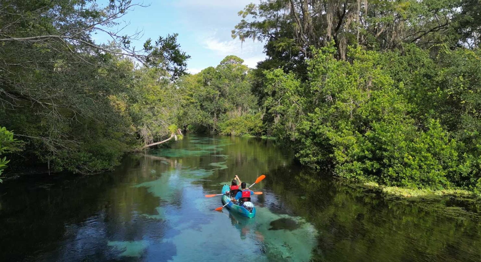 Two kayakers paddling a clear spring-fed river lined with lush trees